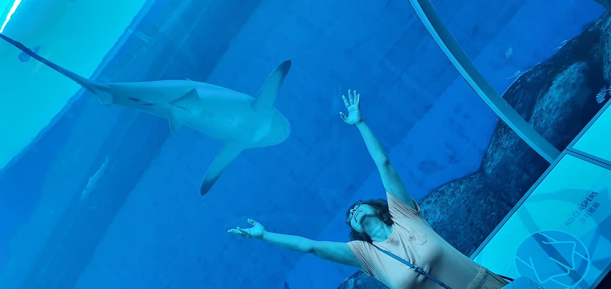 Visitor beneath a shark at Underwater World Singapore