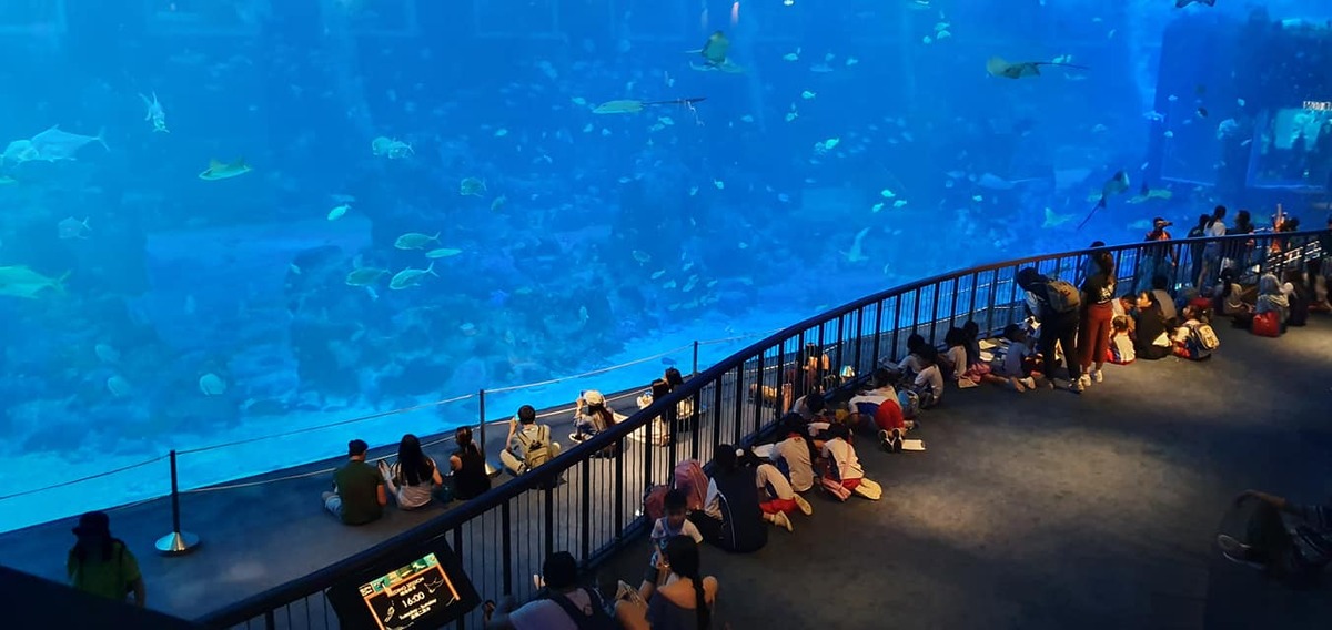 Kindergarten children drawing sea animals in Singapore aquarium
