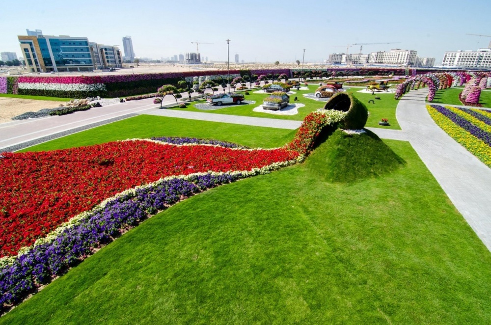 Цветная стена в Dubai Miracle Garden