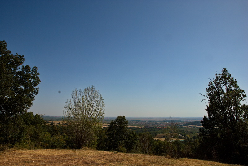 Здраво дъбово усещане